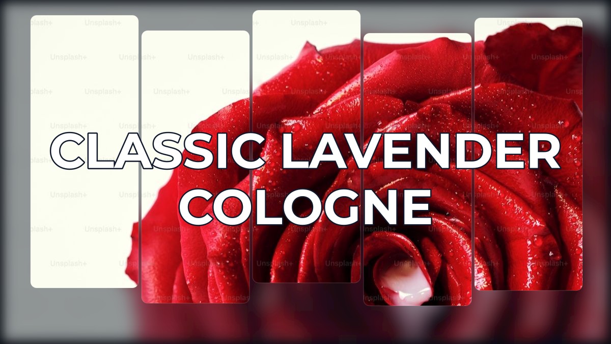 classic lavender cologne
