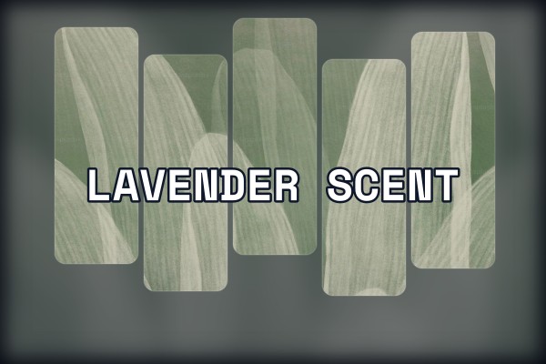 lavender scent